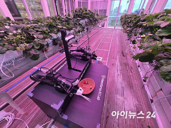 대동에이아이랩의 AI를 바탕으로 작동하는 로봇팔. [사진=최란 기자]