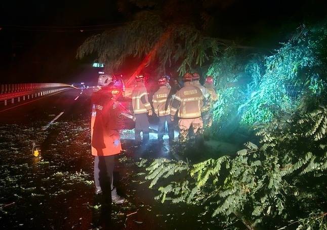 ▲ 강풍을 동반한 폭우로 쓰러진 가로수를 소방대원들이 치우고 있다.