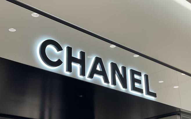 사진=최수진 기자