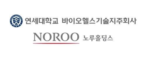 사진: 노루홀딩스 제공