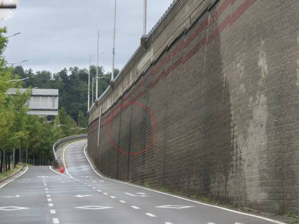 지난 16일 붕괴 사고로 사망자가 발생한 오산시 가장교차로 고가도로 옹벽 뒷편. 외벽이 팽창하면서 추가 붕괴 우려가 제기되고 있다. 김도균기자