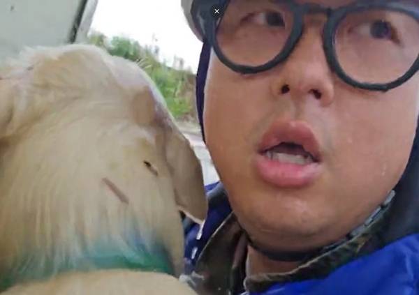 폭우로 인해 홍수가 난 마을에서 떠내려갈 뻔한 강아지를 한 남성이 구조했다. 사진은 갑자기 불어난 물에 목줄에 묶인 채 허우적대는 강아지를 구조한 스트리머의 모습. /사진=온라인커뮤니티 갈무리