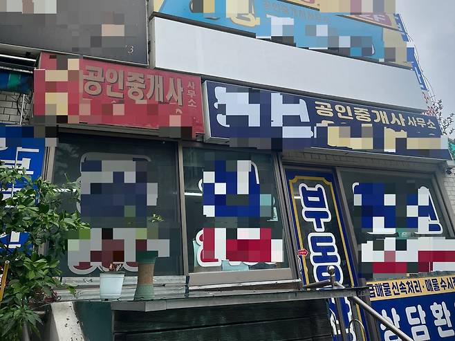 과천 별양동 소재 공인중개사무소들의 모습. 윤성현 기자