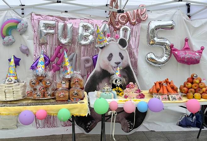 서울 한복판에서 진행된 푸덕이들의 푸바오 5번째 생일 파티 [‘불씨 시위’ 제공]