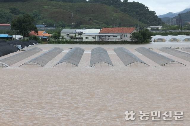 17일 충남 예산군 예산읍 발연리의 논과 하우스단지 일대가 전날부터 내린 폭우로 인해 침수됐다. 예산=김병진 기자