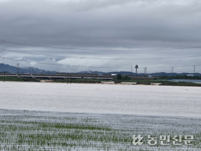 충남 예산군 삽교천 제방이 무너져 17일 오전 9시경 삽교읍 성리 일대 농경지쪽으로 물이 유입되고 있다.