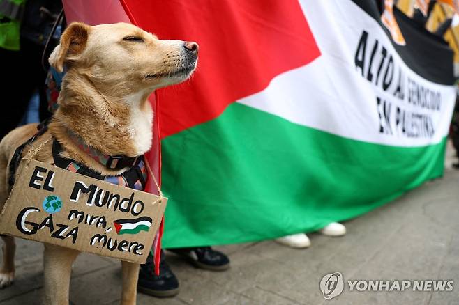 '세계가 지켜 본다, 가자가 죽어간다' 개 목에 구호 [보고타 로이터=연합뉴스. 재판매 및 DB 금지]