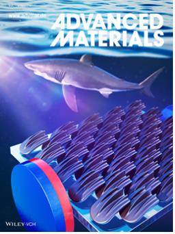 어드밴스드 머티리얼즈 국제 학술지 표지 [부산대 제공]