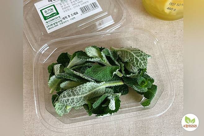 애플민트