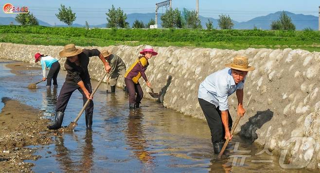 (평양 노동신문=뉴스1) = 북한 청진시에서 주민들이  장마철에 대비해 배수로를 정비하고 있다. [국내에서만 사용가능. 재배포 금지. DB 금지. For Use Only in the Republic of Korea. Redistribution Prohibited] rodongphoto@news1.kr
