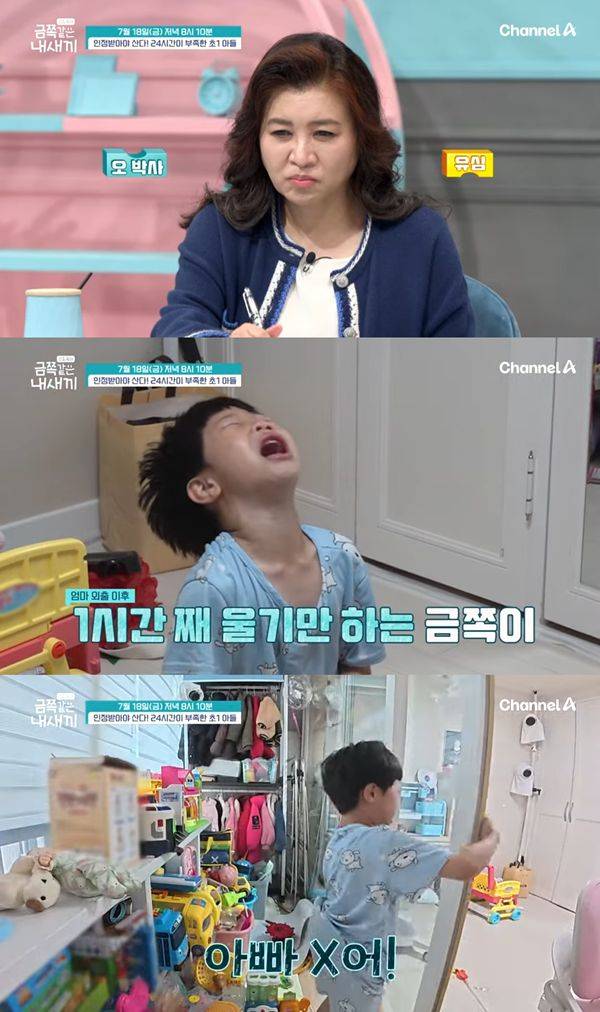 ⓒ채널A