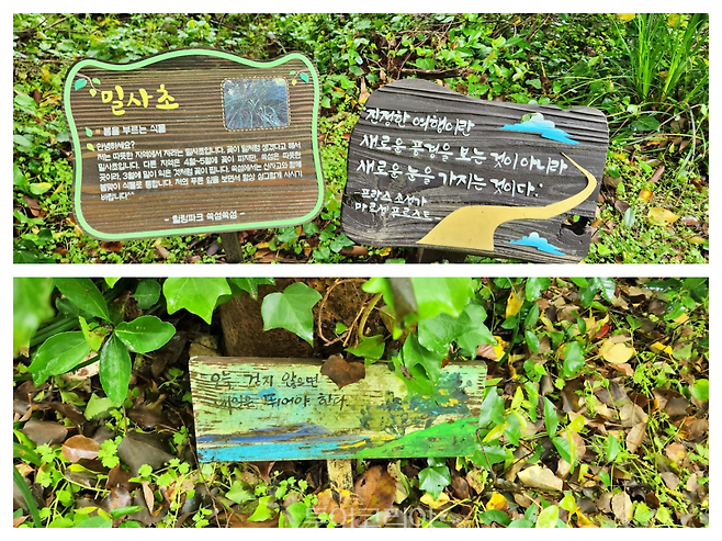 고흥 쑥섬