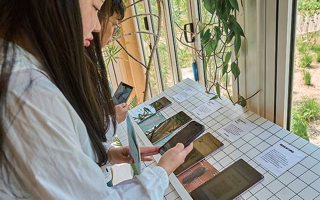 한 시민이 보라매공원 서울국제정원박람회장에 마련된 ‘시드볼트 NFT 컬렉션’ 부스에서 시드볼트 NFT를 발행하고 있다. /환경재단