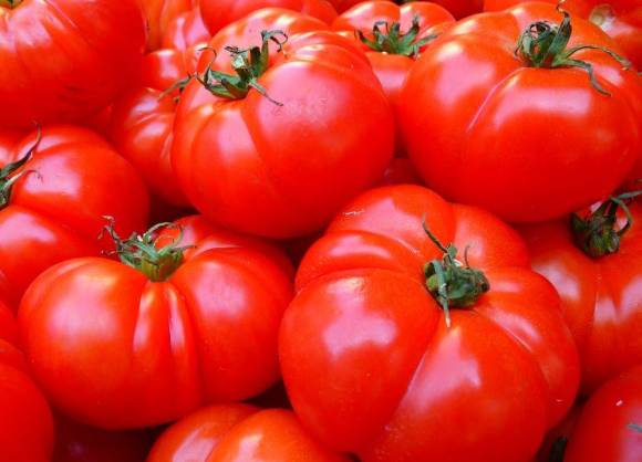 도널드 트럼프 미국 행정부가 멕시코산 토마토에 17.09%의 고율 관세를 부과하자, 멕시코 토마토 농가들이 한국과 일본 등 아시아 시장 개척을 시도한다. 사진은 토마토. [사진=픽사베이]