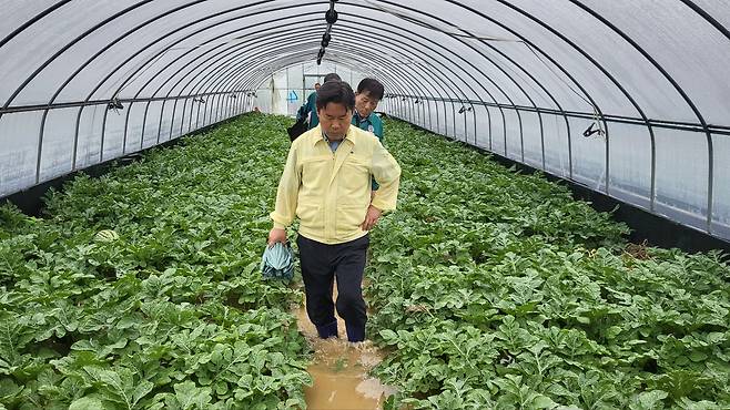 침수 현장 둘러보는 박정현 부여군수. 사진 충남 부여군