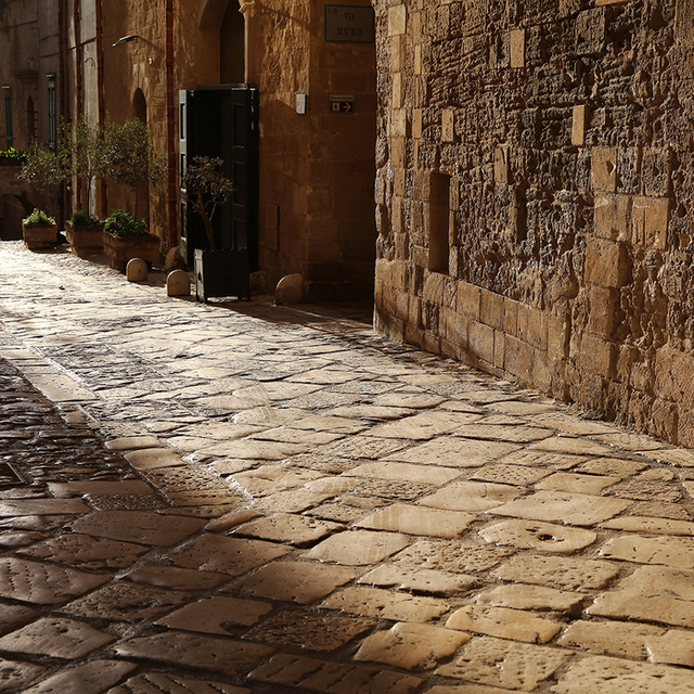 ▲ 박순희 작가의 사진작품