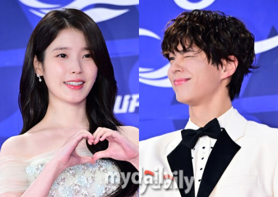 배우 아이유, 박보검/마이데일리 DB