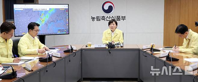 [세종=뉴시스] 강종민 기자 =  송미령 농림축산식품부 장관이 18일 세종시 정부세종청사에서 열린 호우 대처상황 긴급 점검회의에서 피해 현황과분야별 대응, 조치계획을 점검하고 있다. 2025.07.18. ppkjm@newsis.com