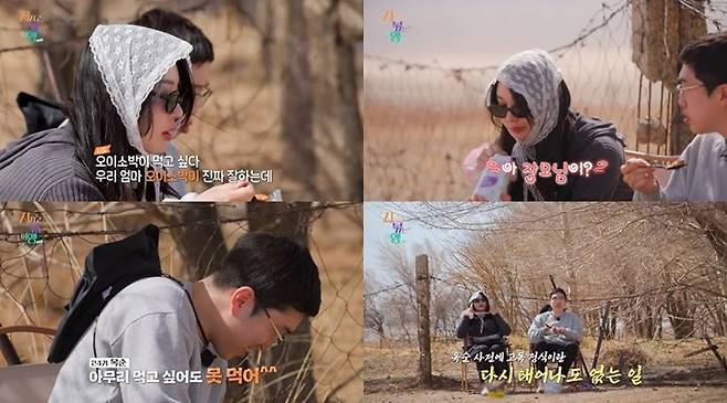 [서울=뉴시스] '나는 솔로' 24기 옥순과 영식이 18일 방송하는 ENA·SBS Plus 예능 프로그램 '지지고 볶는 여행'에서 몽골로 여행을 떠나 여러 위기를 맞는다. (사진=ENA·SBS Plus '지지고 볶는 여행' 제공) 2025.07.18. photo@newsis.com *재판매 및 DB 금지
