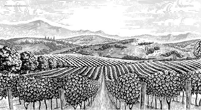 포지오 알 그란키오 레이블.