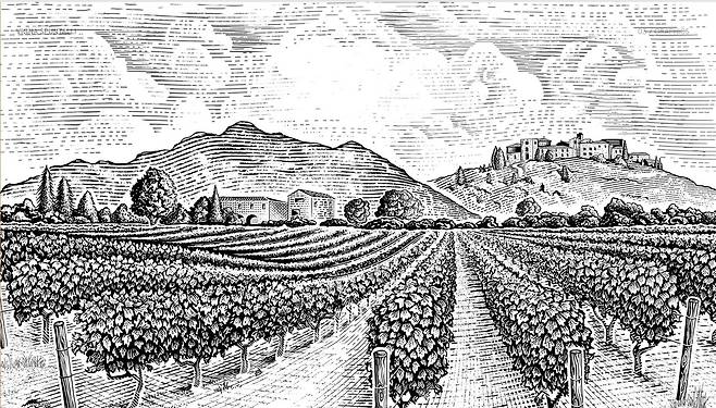 비냐 스푼탈리 레이블.