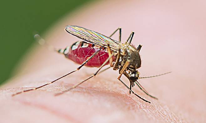 사진=게티이미지뱅크 제공