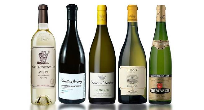 사진 = 아영FBC 제공