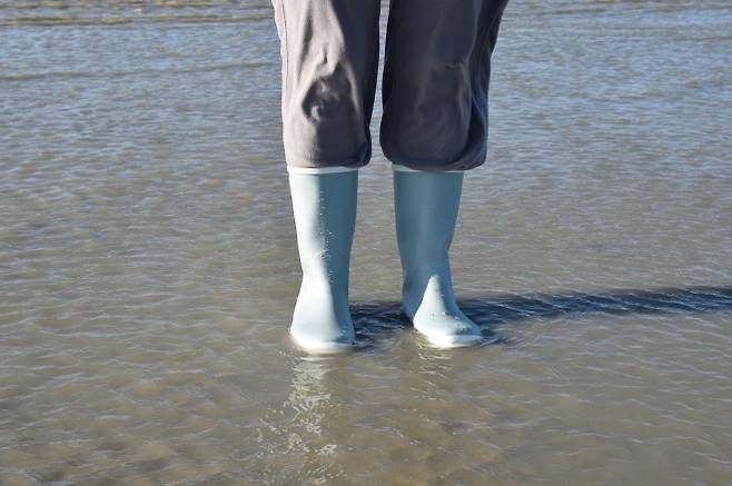 장화 이미지. 픽사베이