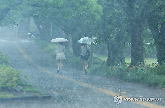 게릴라성 폭우 쏟아지는 제주 (제주=연합뉴스) 박지호 기자 = 18일 오후 제주시 아라동 제주대 캠퍼스에 게릴라성 폭우가 쏟아지고 있다. 2025.7.18 jihopark@yna.co.kr