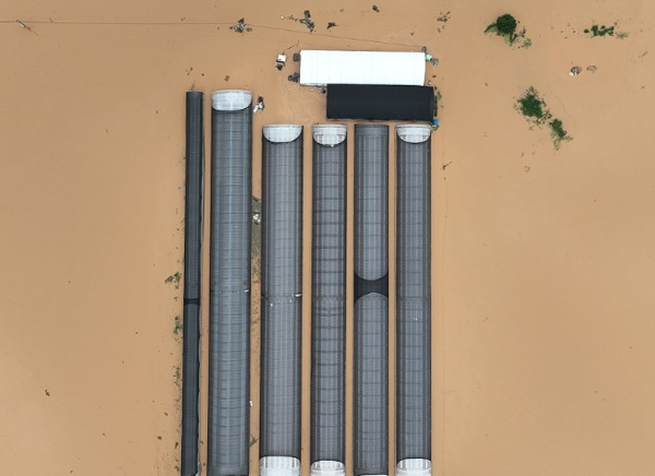 폭우로 침수된 비닐하우스.[사진=연합뉴스]