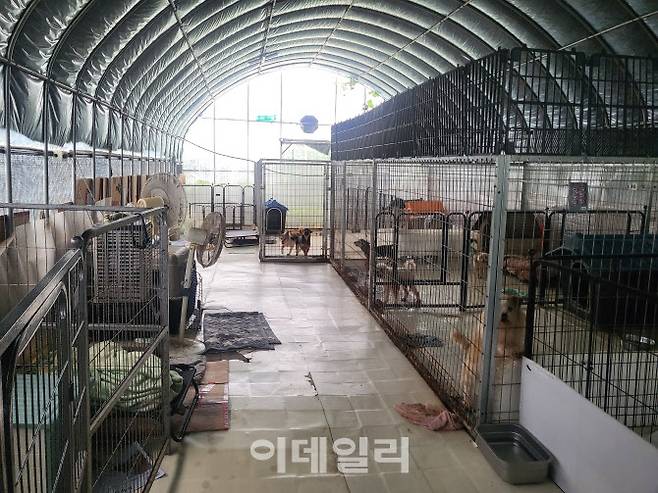 산수의천사들 소형견사의 모습(사진=박지애 기자)