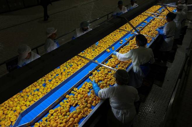 로이터연합뉴스