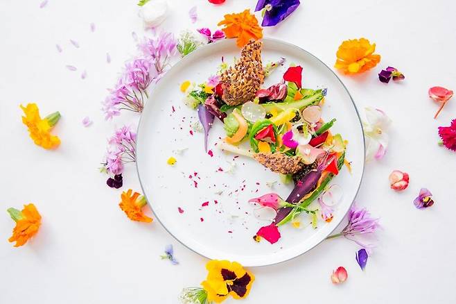 영국 런던 '알랭 뒤카스 앳 더 도체스터'의 2019년 봄 요리. /Ducasse Paris