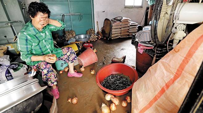 아까워서 어쩌나… 눈물 젖은 양파 - 18일 충남 예산군 삽교읍에서 한 주민이 폭우에 젖은 양파를 들고 울먹이고 있다. /신현종 기자