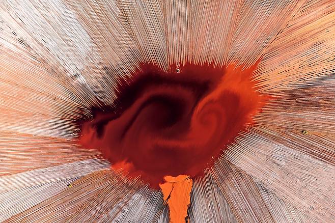 작품명 ‘뒤틀린 올빼미(Twisted Owl)’. 서호주 콜리 인근의 알루미나 광산에 있는 폐기물댐.  알루미나 광물 채굴 과정에서 나온 부산물인 ‘레드 머드’를 처리하는 광미 처리시설을 하늘에서 내려다 보면 올빼미를 닮아 있다. /콜린 레온하르트/2025국제항공사진가상