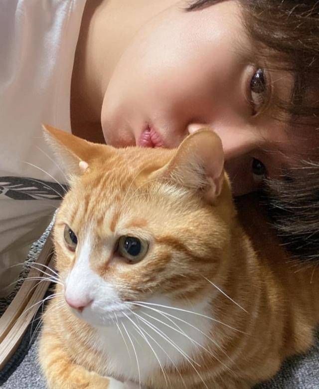 스트레이 키즈 멤버 리노의 첫째 반려묘 '순이'. instagram@realstraykids