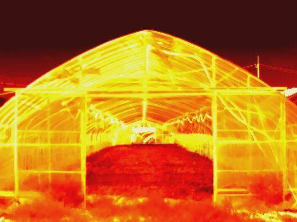 지난 9일 오후 경기 포천시의 비닐하우스를 열화상 카메라로 촬영한 결과 39도로 측정됐다. 포천=최주연 기자