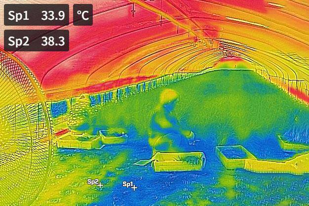 지난 9일 오후 경기 포천시의 한 비닐하우스에서 선풍기가 가동되자 바람이 닿는 곳마다 주변부보다 5도 가량 기온이 낮아지고 있다. 포천=최주연 기자