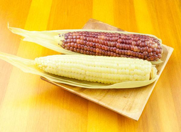 검정 찰옥수수 '황금흑찰'은 카로티노이드, 안토시아닌이 풍부해 암 예방, 노화 방지 등에 좋다./사진=클립아트코리아