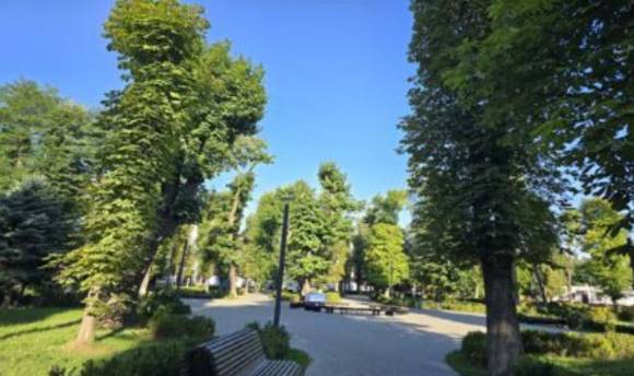 블라디카프카스 시내에 울창한 마로니에 나무가 늘어서 있다. [사진=윤영선]