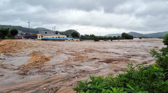 충남 당진 역천이 지난 17일 집중호우로 한때 범람 위기를 맞았다.연합뉴스