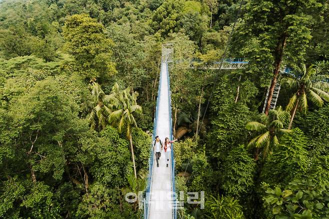FRIM 셀랑고르 포레스트 파크 (사진=말레이시아 관광청)