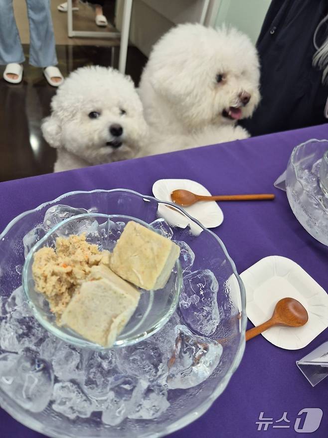 한국반려동물영양연구소는 19일 경기 광주 본사에서 반려견 동반 보호자 세미나를 열었다.(한국반려동물영양연구소 제공). ⓒ 뉴스1