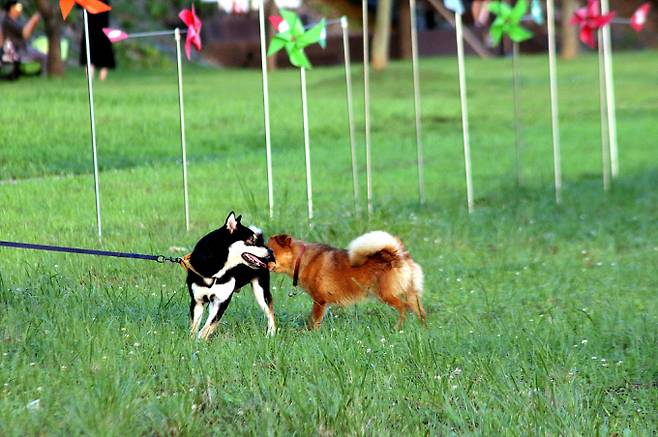 삼복더위 온다…폭염에 소나기 ‘후텁지근’[내일날씨]=월요일인 내일(21일) 날씨는 전국이 가끔 구름 많은 가운데, 곳곳에 소나기가 내리겠다. 오늘날씨, 내일날씨, 주간날씨 예보 ⓒbnt뉴스
