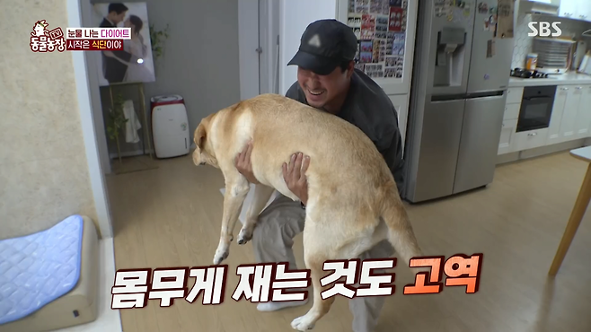 image.png 반려견 돼지 만들어 놓고 비만 아니라고 우기는 여자.jpg