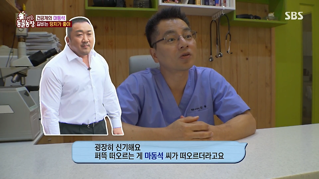 image.png 반려견 돼지 만들어 놓고 비만 아니라고 우기는 여자.jpg