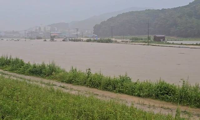 ▲ 폭우가 내린 지난 17일 오전 충남 아산시 배방읍 세교리 천안천이 밤새 쏟아진 비로 불어나 있다. [독자 제공=연합뉴스]