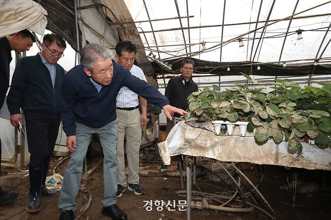 강호동 농협중앙회장이 20일 호우 피해를 입은 충남 예산·아산 및 경남 합천·산청의 피해현장을 방문하여 농업 피해상황을 점검하고 있다. 농협중앙회 제공.