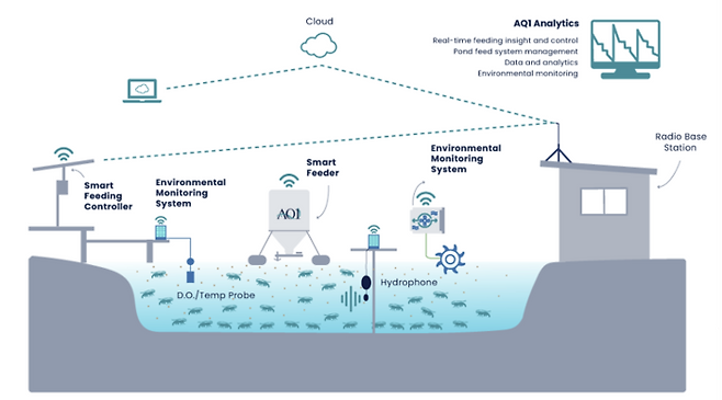 AQ1시스템즈의 새우 자동급이 시스템을 설명하는 개요도.