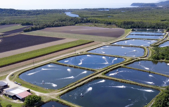 AQ1시스템즈의 사료 자동급이기가 보급돼 운영되고 있는 새우 양식장 모습.<사진=회사 웹사이트>